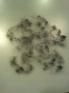 200801291415000.jpg