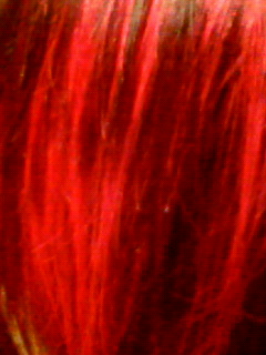 200802292352000.jpg
