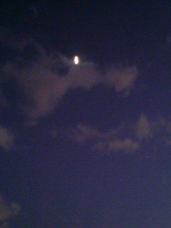 200812061700000.jpg