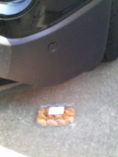 200812291343000.jpg