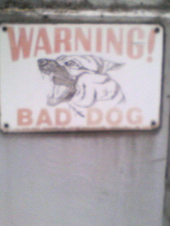 200706031730000.jpg