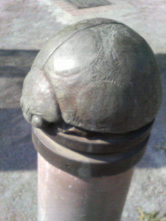 200706061545000.jpg