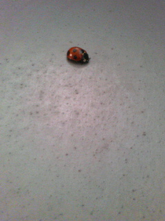 200706071806000.jpg