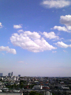 200706151544000.jpg