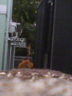 200807191737000.jpg
