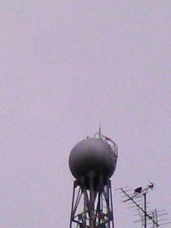 200903031447000.jpg