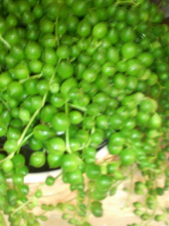 200903201835000.jpg