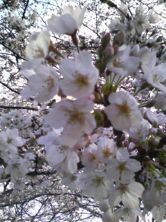 200903261454000.jpg